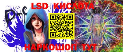 гидропоника Донской