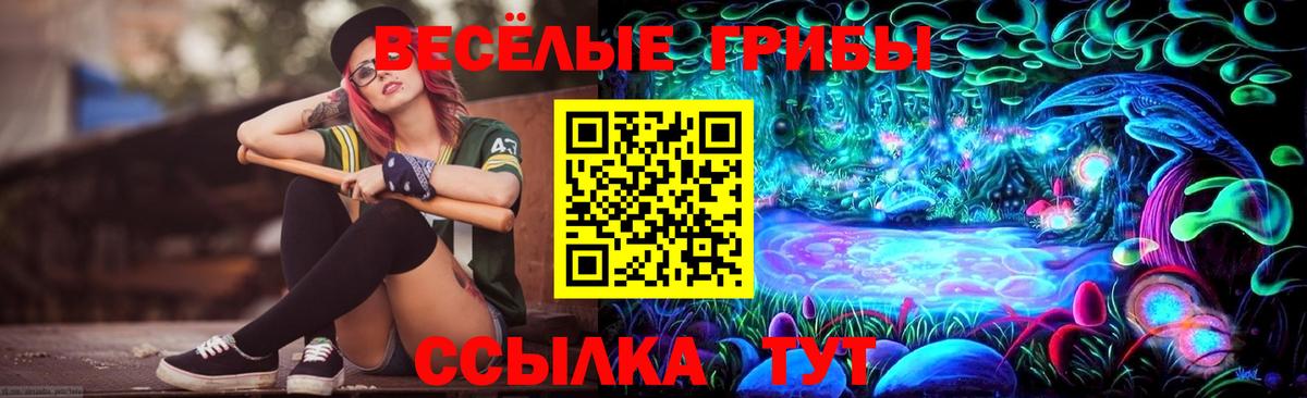 Псилоцибиновые грибы GOLDEN TEACHER Балашов
